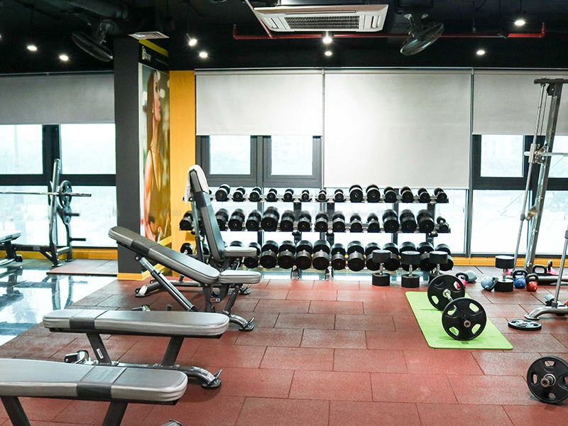 Các thiết bị cơ bản trong phòng tập gym không thể thiếu - PT FITNESS